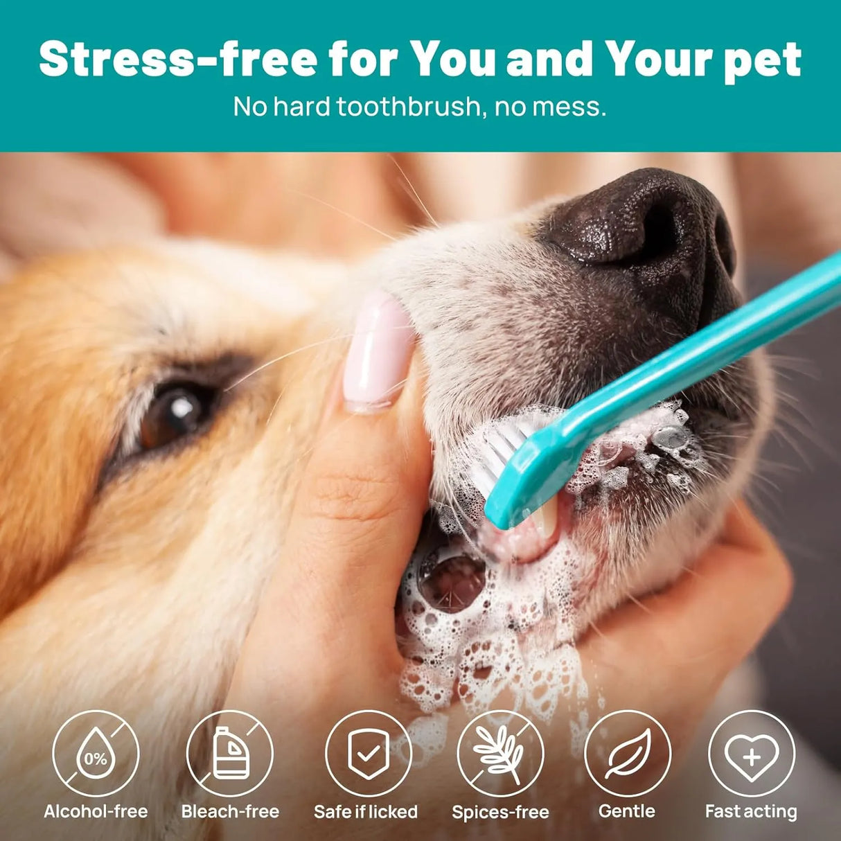 SMILEDENX - SmileDenX Dog Dental Care Finger Wipes Beef 50 Toallitas - The Red Vitamin MX - Cuidado Dental Para Perros - {{ shop.shopifyCountryName }}