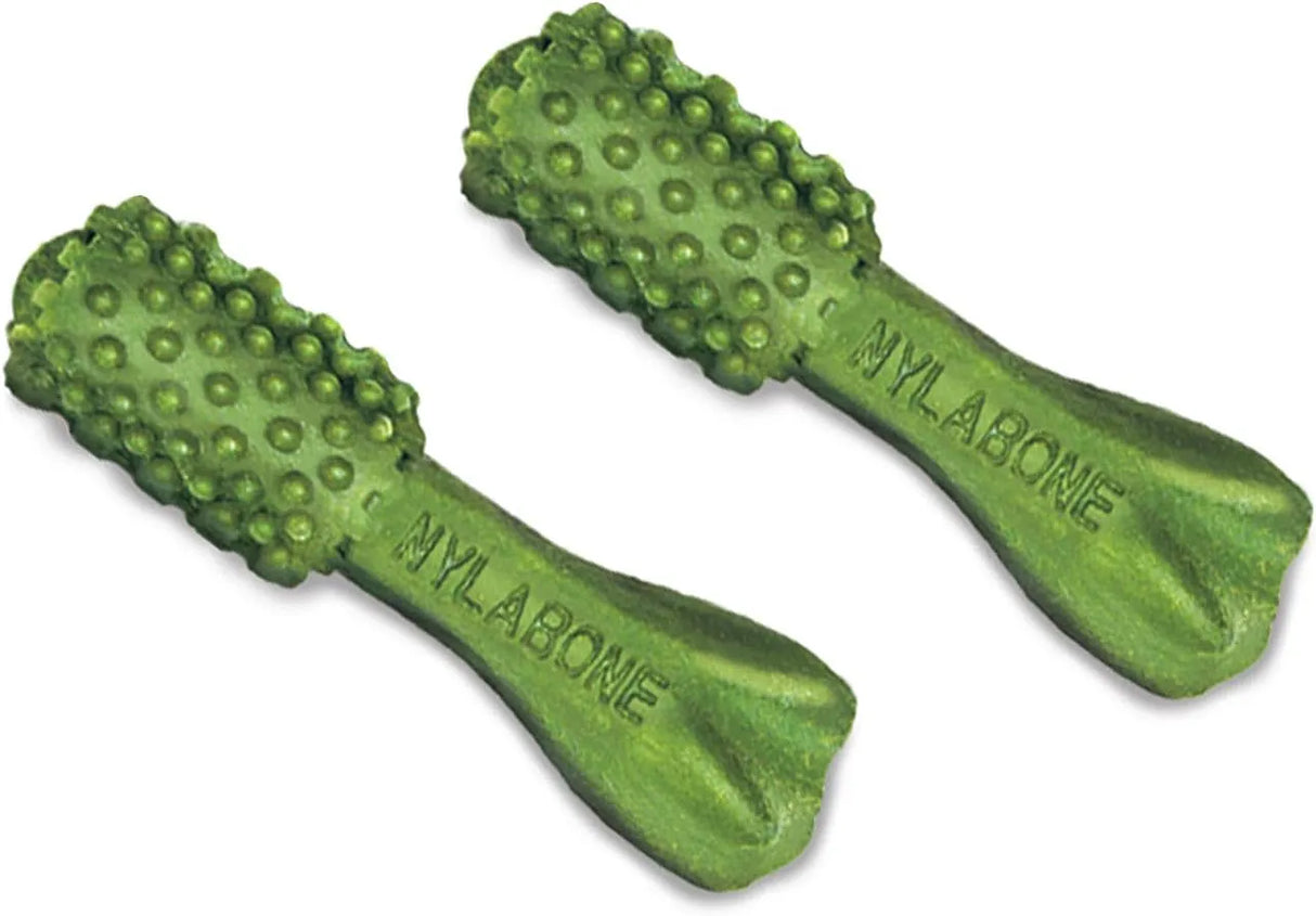 NYLABONE - Nylabone Nutri Dent Dog Dental Chews Mini 160 Piezas - The Red Vitamin MX - Cuidado Dental Para Perros - {{ shop.shopifyCountryName }}