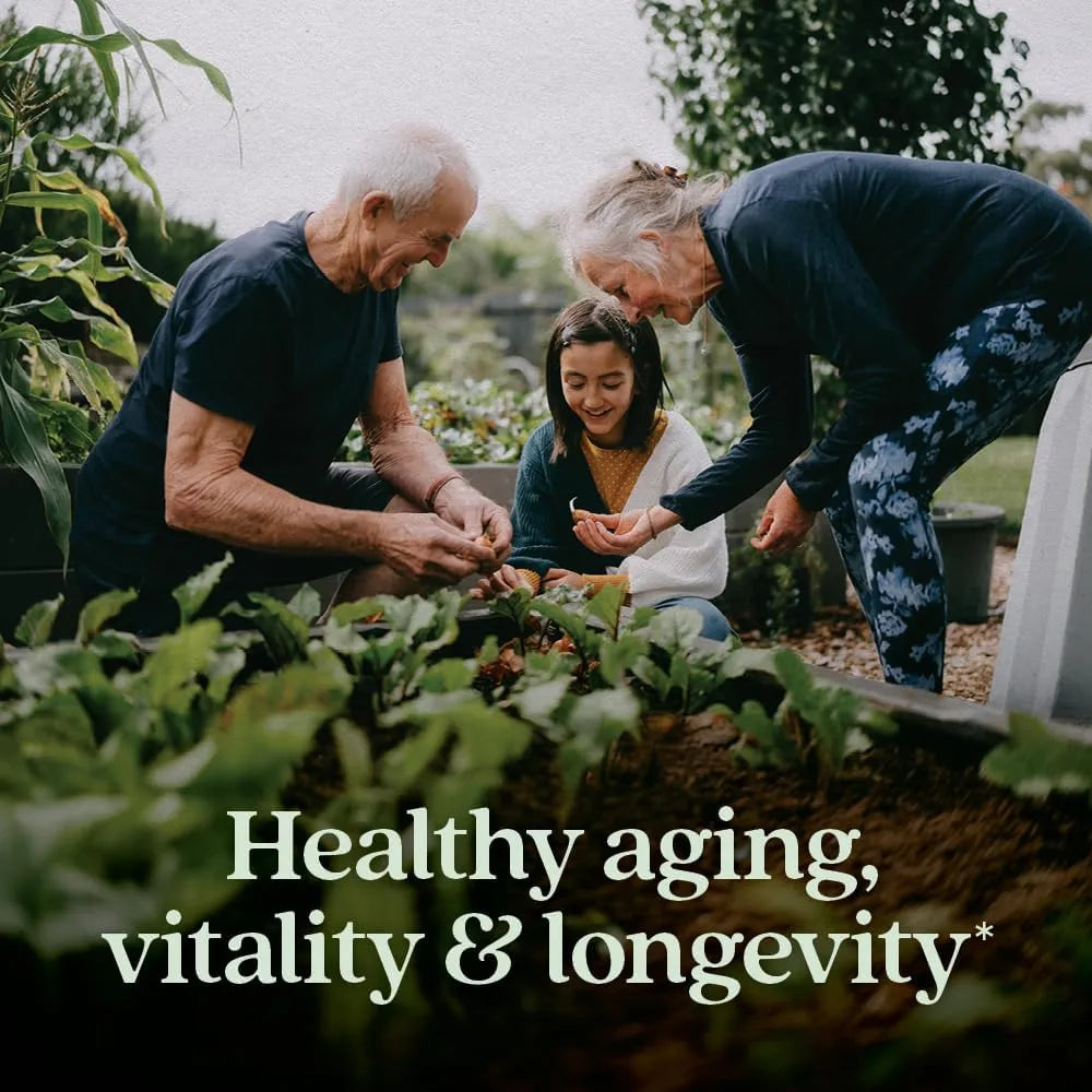 NEW CHAPTER - New Chapter Reishi Mushroom 60 Capsulas - The Red Vitamin MX - Suplementos Alimenticios - {{ shop.shopifyCountryName }}