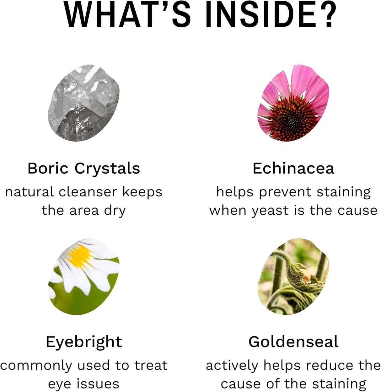 EYE ENVY - Eye Envy Tear Stain Remover Powder for Dogs and Cats 14Gr. - The Red Vitamin MX - Cuidado De Los Ojos De Los Perros - {{ shop.shopifyCountryName }}