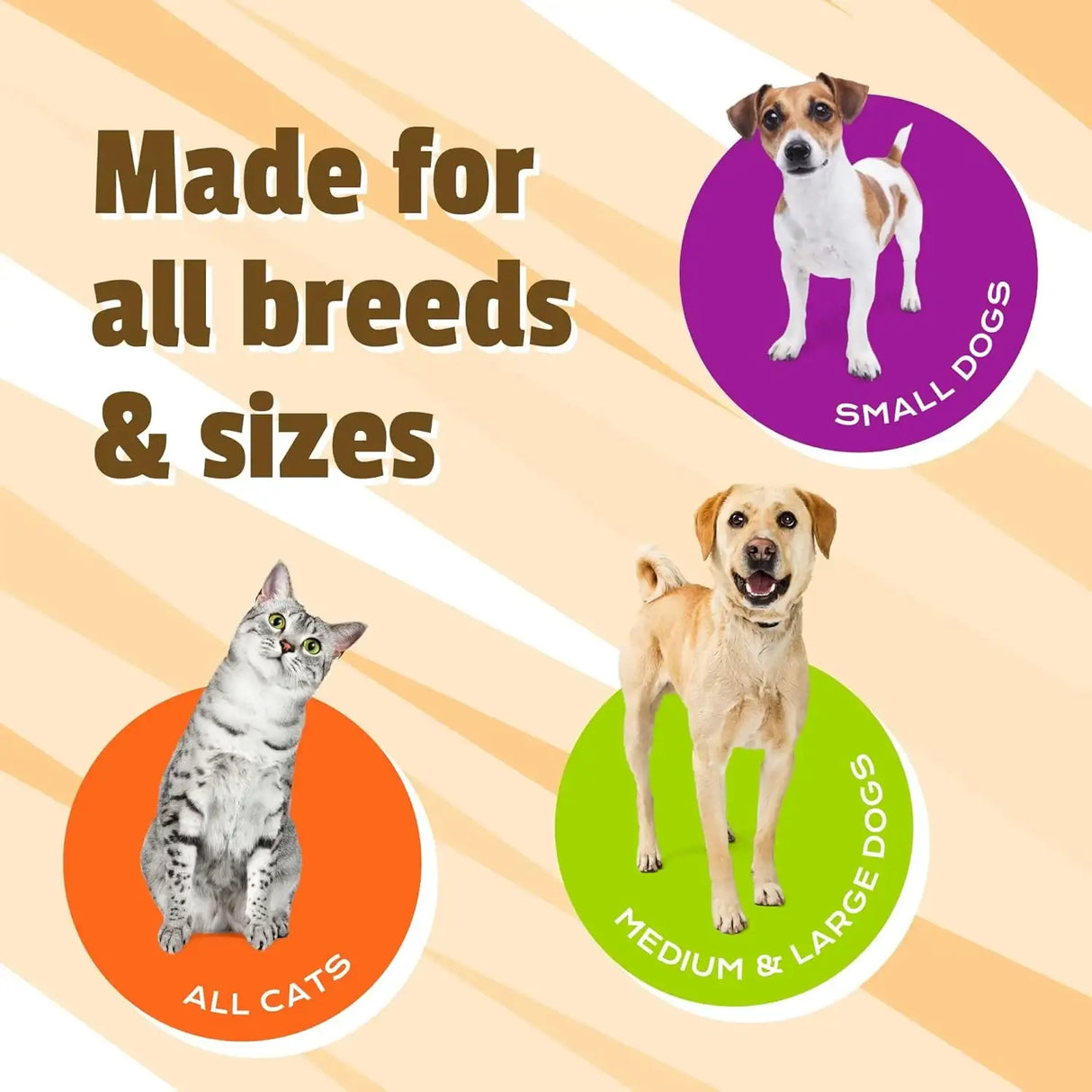 PET NATURALS - Pet Naturals Hip and Joint Supplement with Glucosamine 160 Masticables - The Red Vitamin MX - Cuidado De Cadera Y Articulaciones Para Perros - {{ shop.shopifyCountryName }}