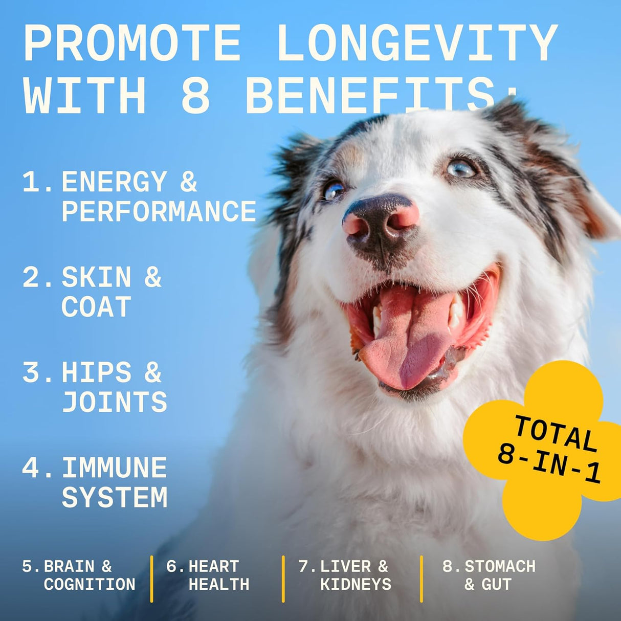 PAWGRESS 8-in-1 Dog Multivitamin 30 Servicios