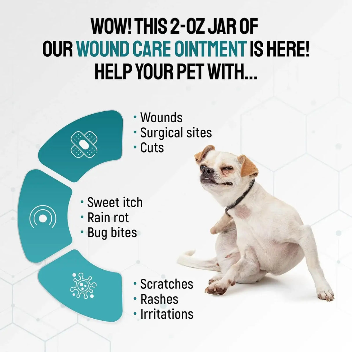 SILVER GRADE - SILVER GRADE Hot Spot Treatment for Dogs 2 Oz. - The Red Vitamin MX - Remedios Para La Picazón De Perros - {{ shop.shopifyCountryName }}