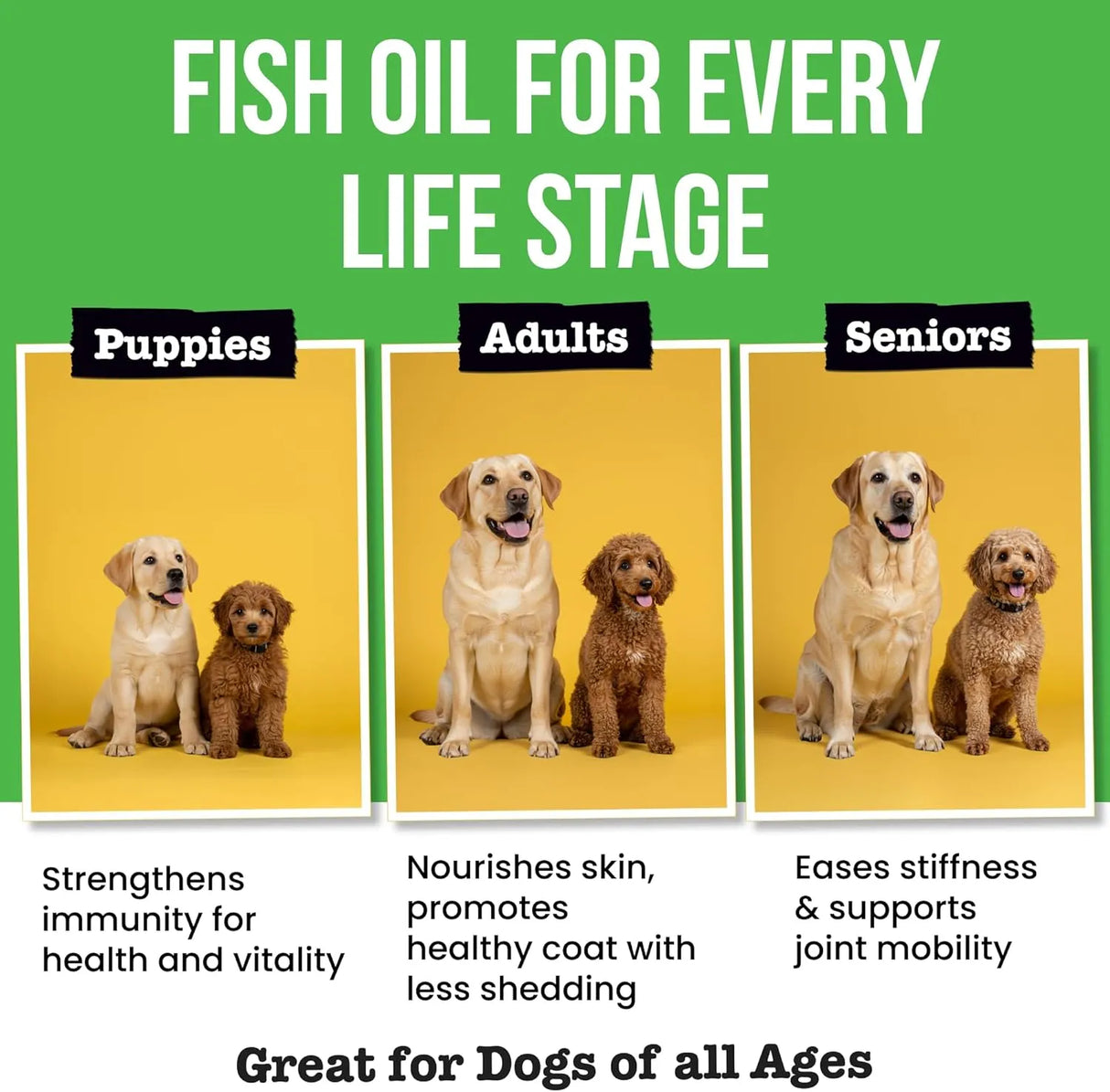 PAWSENTIAL - Pawsential Omega 3 Fish Oil for Dogs & Cats 8 Fl.Oz. - The Red Vitamin MX - Aceite De Pescado Para Perros - {{ shop.shopifyCountryName }}