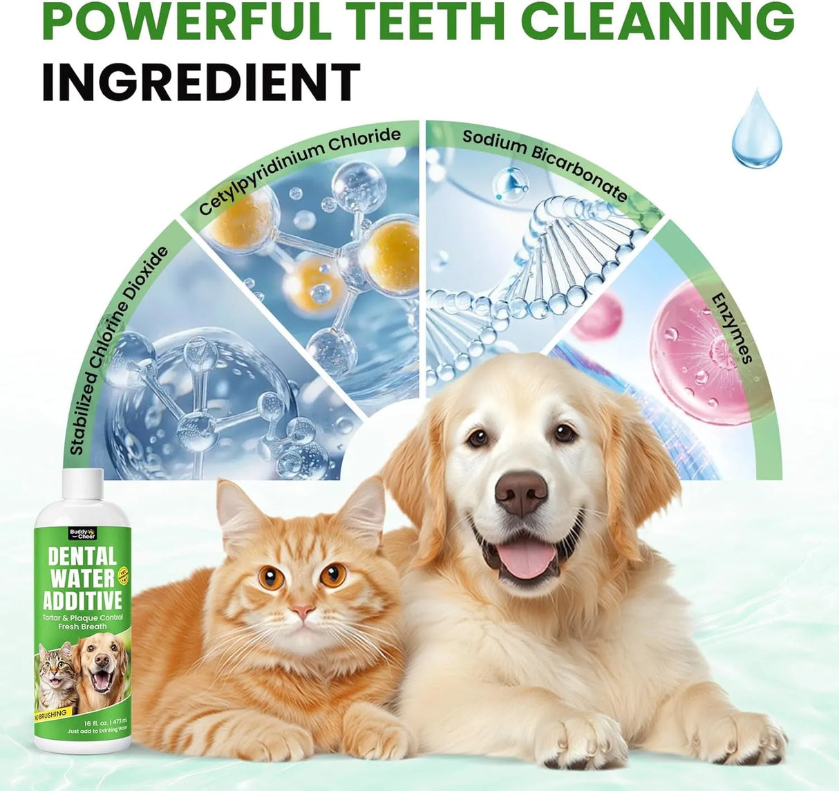 BUDDYCHEER - BuddyCheer Dog Breath Freshener 473Ml. - The Red Vitamin MX - Cuidado Dental Para Perros - {{ shop.shopifyCountryName }}