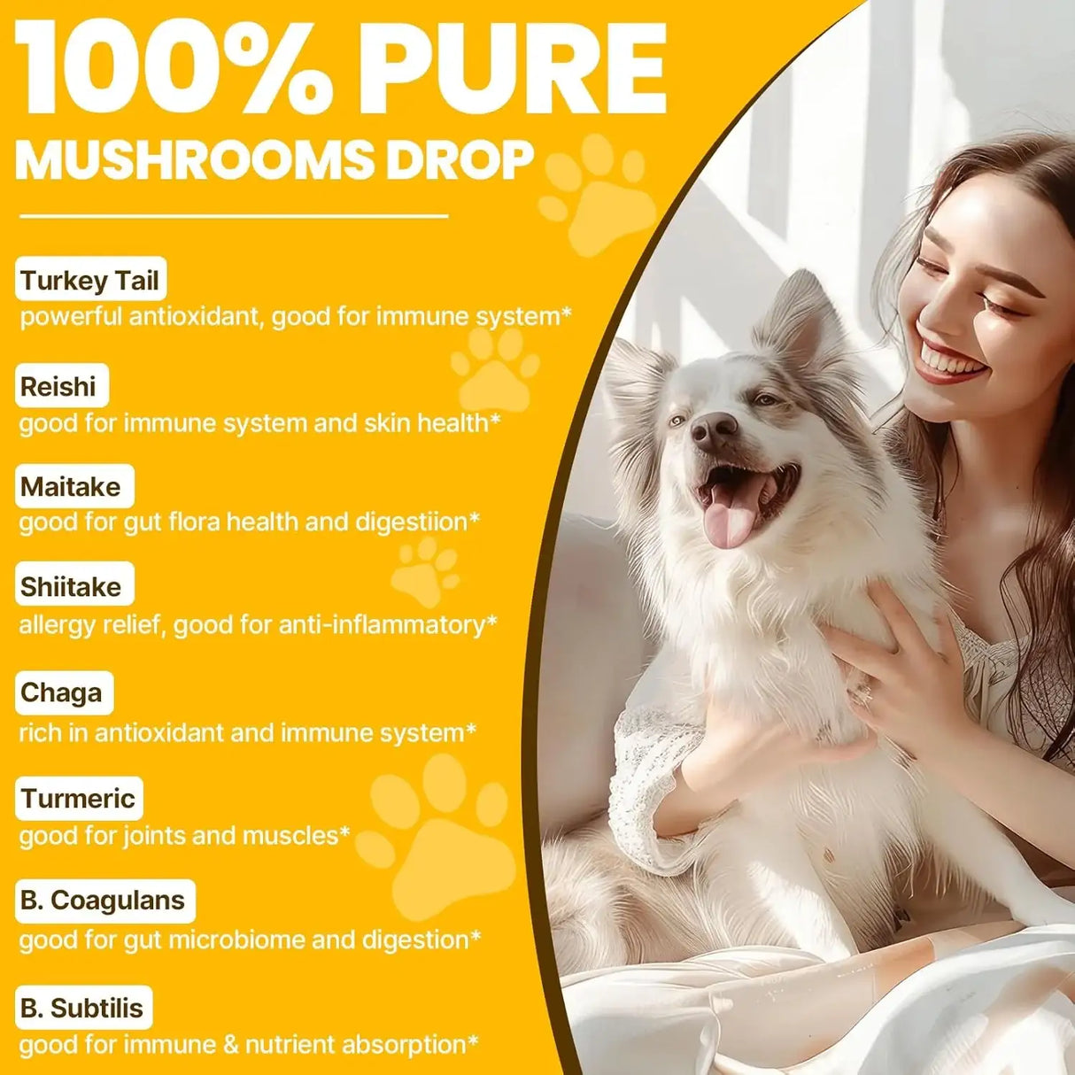 JAZYTIKO - Jazytiko Turkey Tail Mushroom for Dogs 90Ml. - The Red Vitamin MX - Suplementos Herbales Para Perros - {{ shop.shopifyCountryName }}