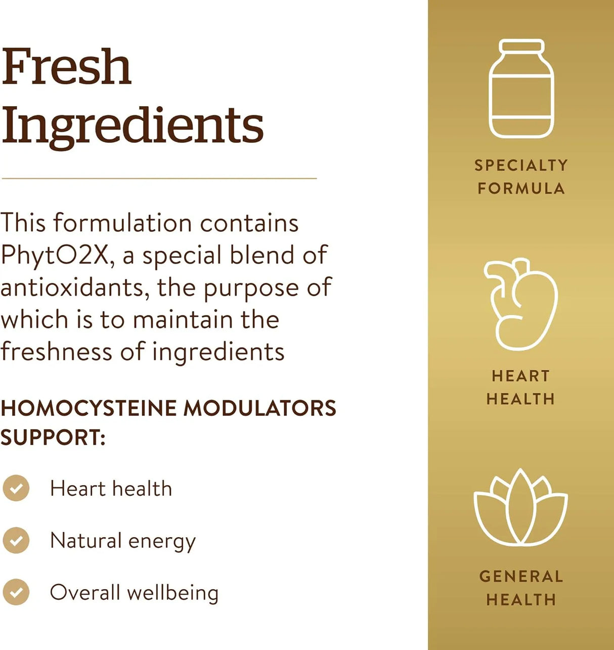 SOLGAR - Solgar Homocysteine Modulators 120 Capsulas - The Red Vitamin MX - Suplementos Alimenticios - {{ shop.shopifyCountryName }}