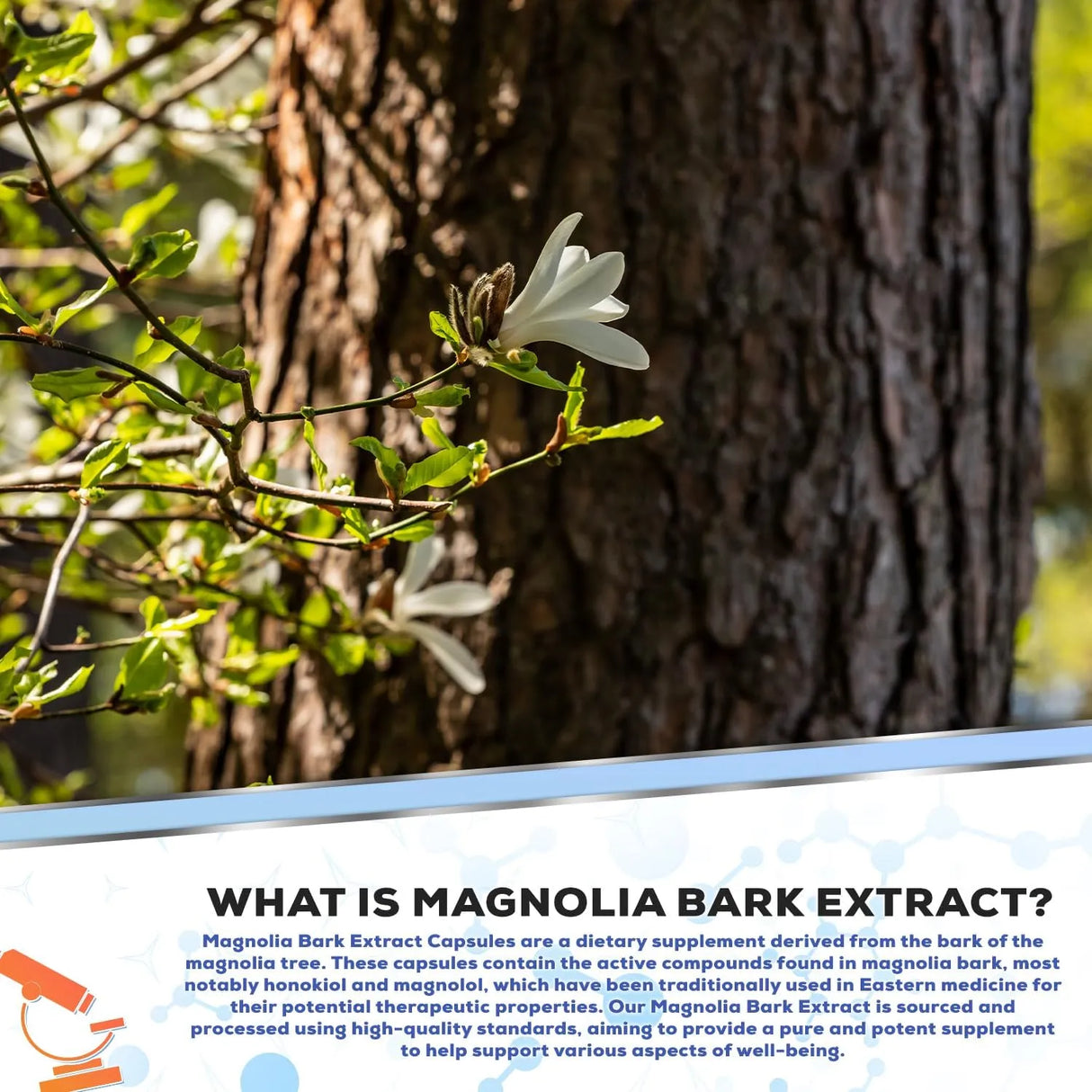 MUSCLE EMPIRE - Muscle Empire Magnolia Bark Extract 250Mg. 60 Capsulas - The Red Vitamin MX - Suplementos Alimenticios - {{ shop.shopifyCountryName }}