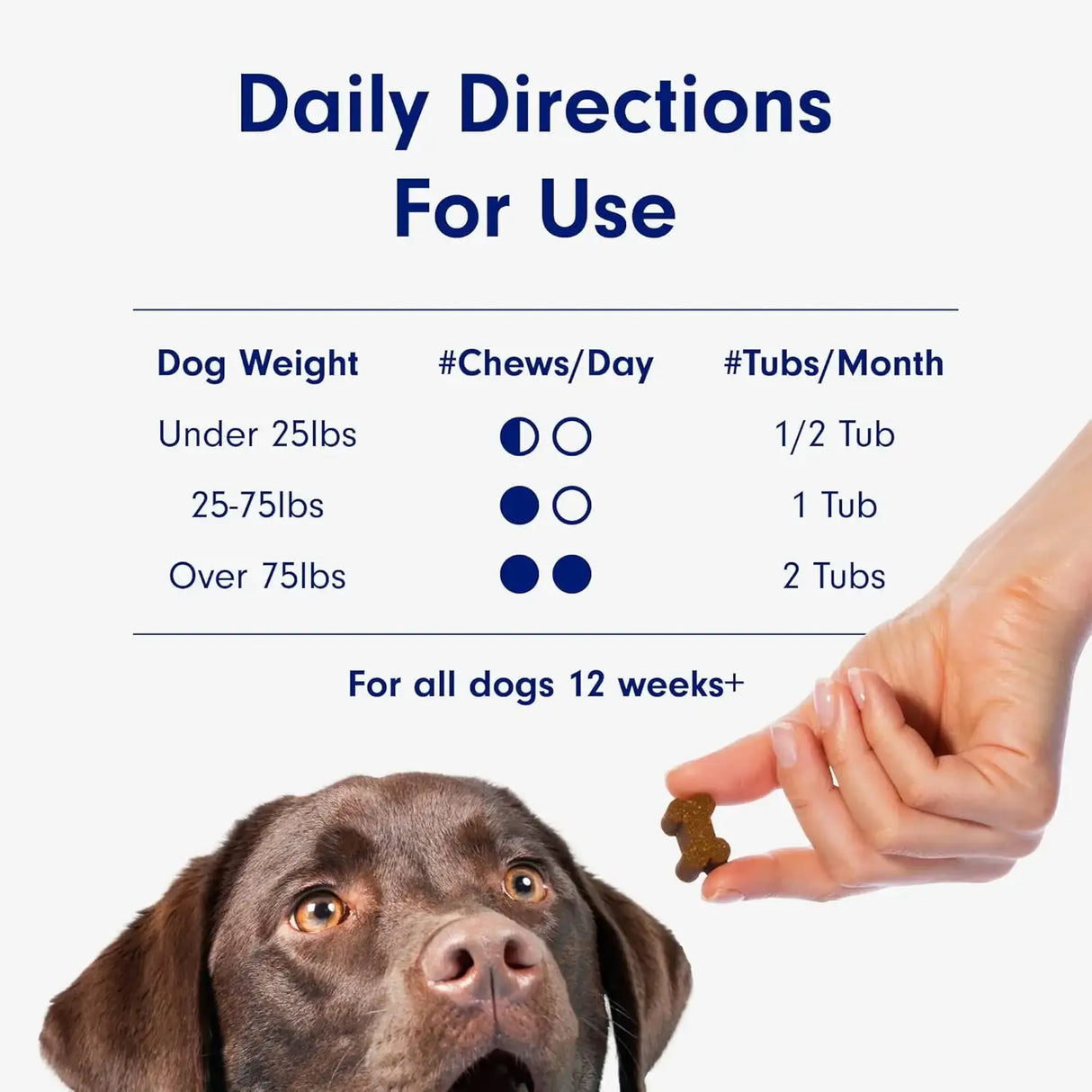 PETLAB CO. - PetLab Co. Joint Care Chews for Dogs Pork Flavor 30 Masticables 2 Pack - The Red Vitamin MX - Cuidado De Cadera Y Articulaciones Para Perros - {{ shop.shopifyCountryName }}