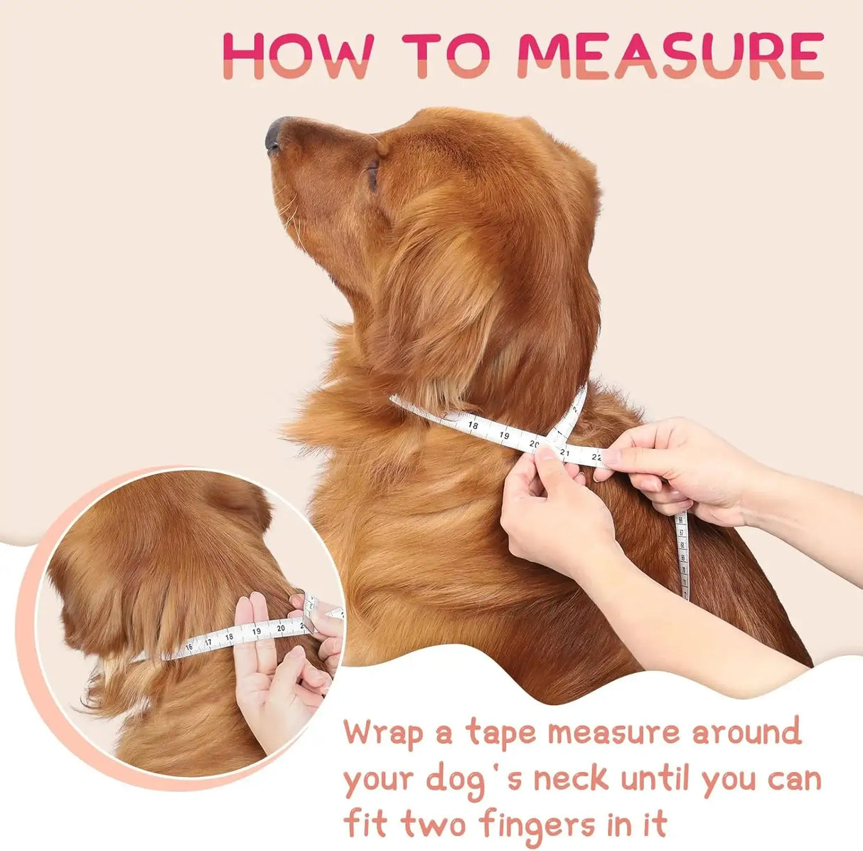 SUPET - Supet Inflatable Dog Cone Collar Alternative After Surgery MEDIUM Neck 9"-13" - The Red Vitamin MX - Collares y Conos De Recuperación Para Perros - {{ shop.shopifyCountryName }}