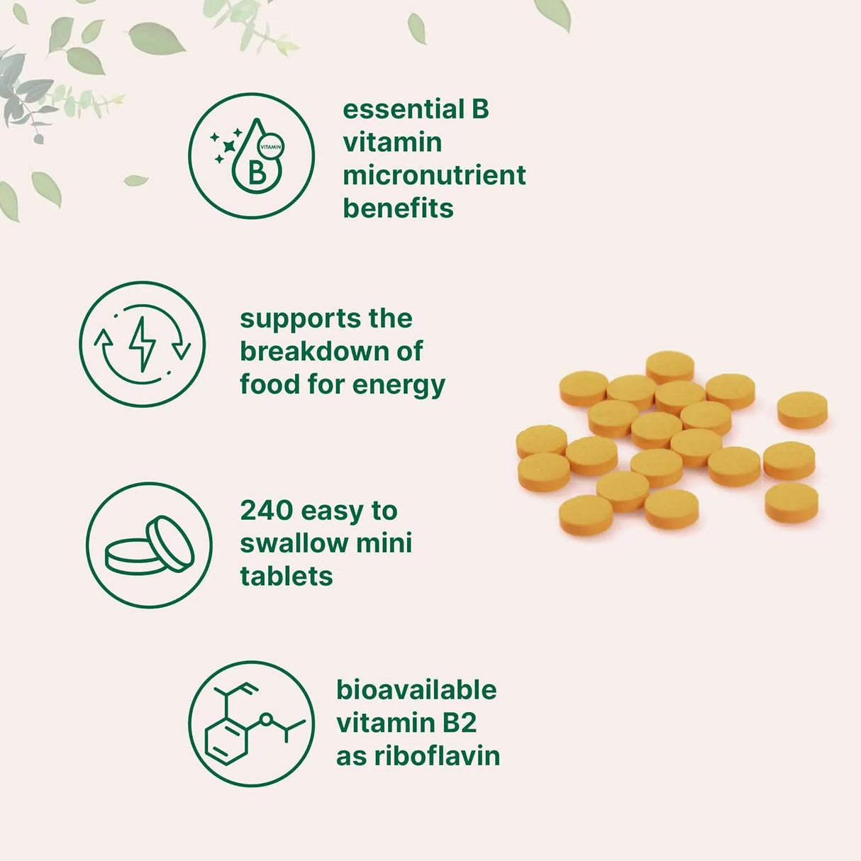 MICRO INGREDIENTS - Micro Ingredients Riboflavin Vitamin B2 400Mg. 240 Tabletas - The Red Vitamin MX - Suplementos Alimenticios - {{ shop.shopifyCountryName }}