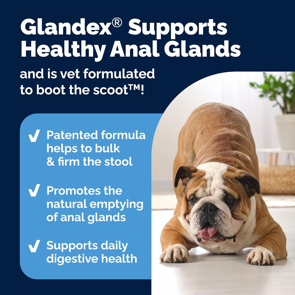 Vetnique Labs Glandex Anal Gland Soft Chew Treats with Pumpkin Bacon Pork 120 Masticables