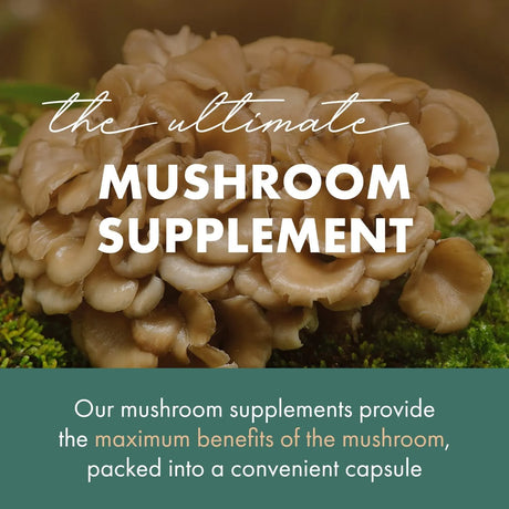 PURE ESSENCE LABS - PURE ESSENCE LABS MyPure Maitake Mushrooms 60 Capsulas - The Red Vitamin MX - Suplementos Alimenticios - {{ shop.shopifyCountryName }}