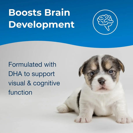 PETAG - Pet-Ag Esbilac 2nd Step Puppy Weaning Food 397Gr. - The Red Vitamin MX - Sustitutos De Leche Para Perros - {{ shop.shopifyCountryName }}