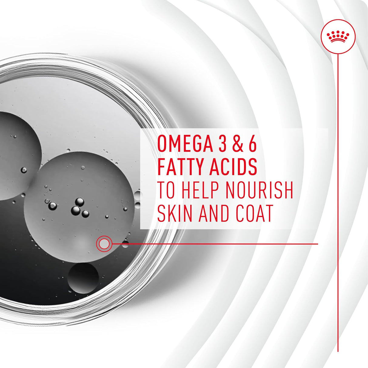 Royal Canin Skin & Coat Supplement Soft Chews for Adult Dogs 60 Masticables