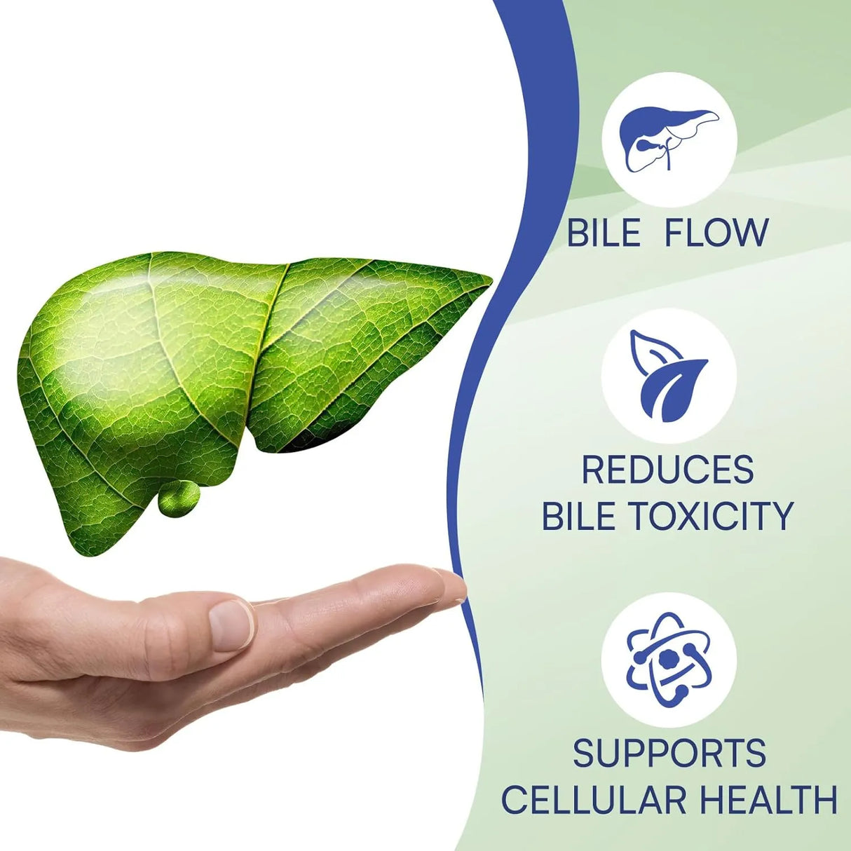 LIVLYLUXE - LivLyLuxe TUDCA Powder 2000Mg. 150Gr. - The Red Vitamin MX - Suplementos Alimenticios - {{ shop.shopifyCountryName }}