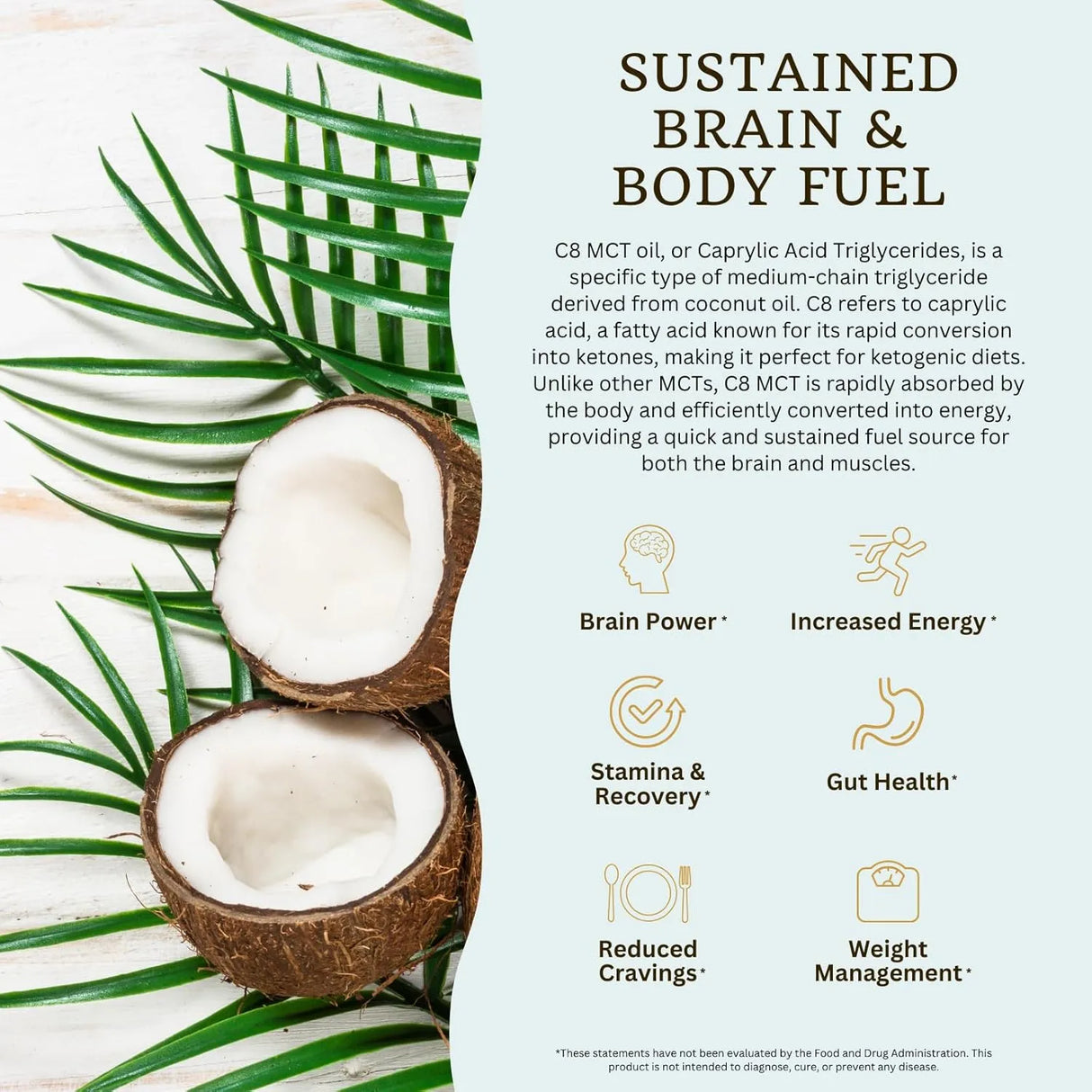 VITATRADINGCO - VitaTradingCo. 100% Pure C8 MCT Oil Unflavored 946Ml. - The Red Vitamin MX - Suplementos Alimenticios - {{ shop.shopifyCountryName }}