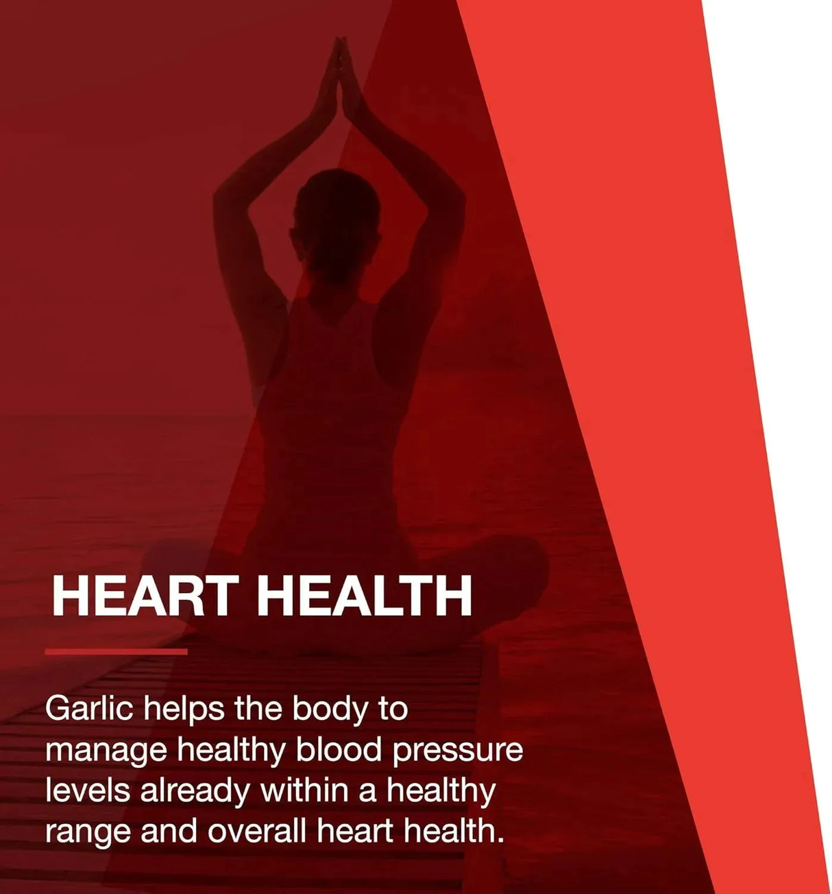 PROTOCOL FOR LIFE BALANCE - Protocol For Life Balance Garlic 5,000 90 Tabletas - The Red Vitamin MX - Suplementos Alimenticios - {{ shop.shopifyCountryName }}