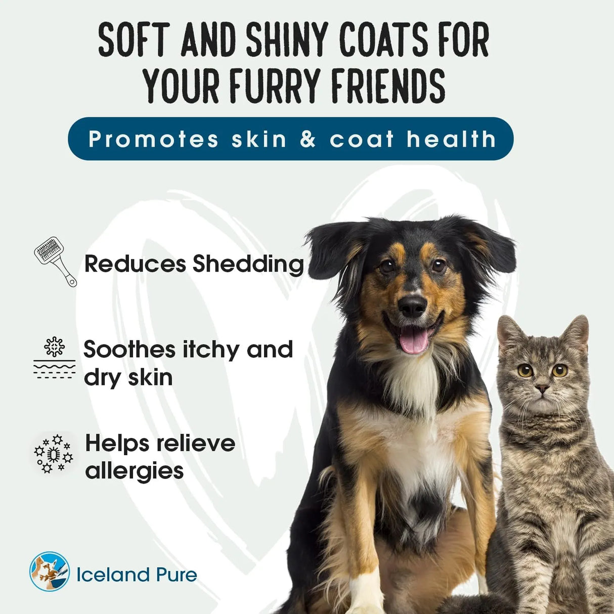 ICELAND PURE - Iceland Pure Sardine Anchovy Oil 17 Fl.Oz. - The Red Vitamin MX - Aceite De Pescado Para Perros - {{ shop.shopifyCountryName }}