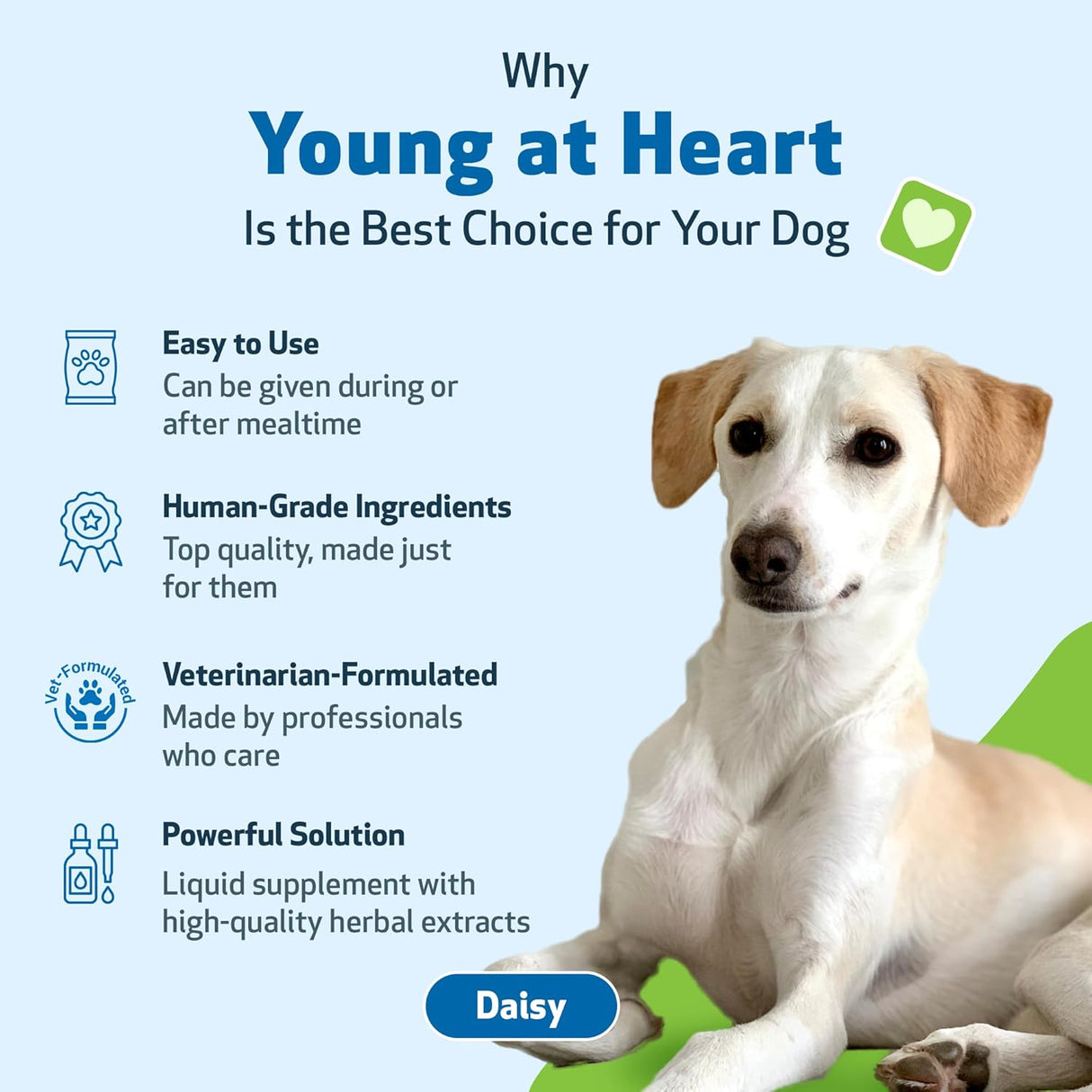 Pet Wellbeing Young at Heart for Dogs 4 Fl.Oz.