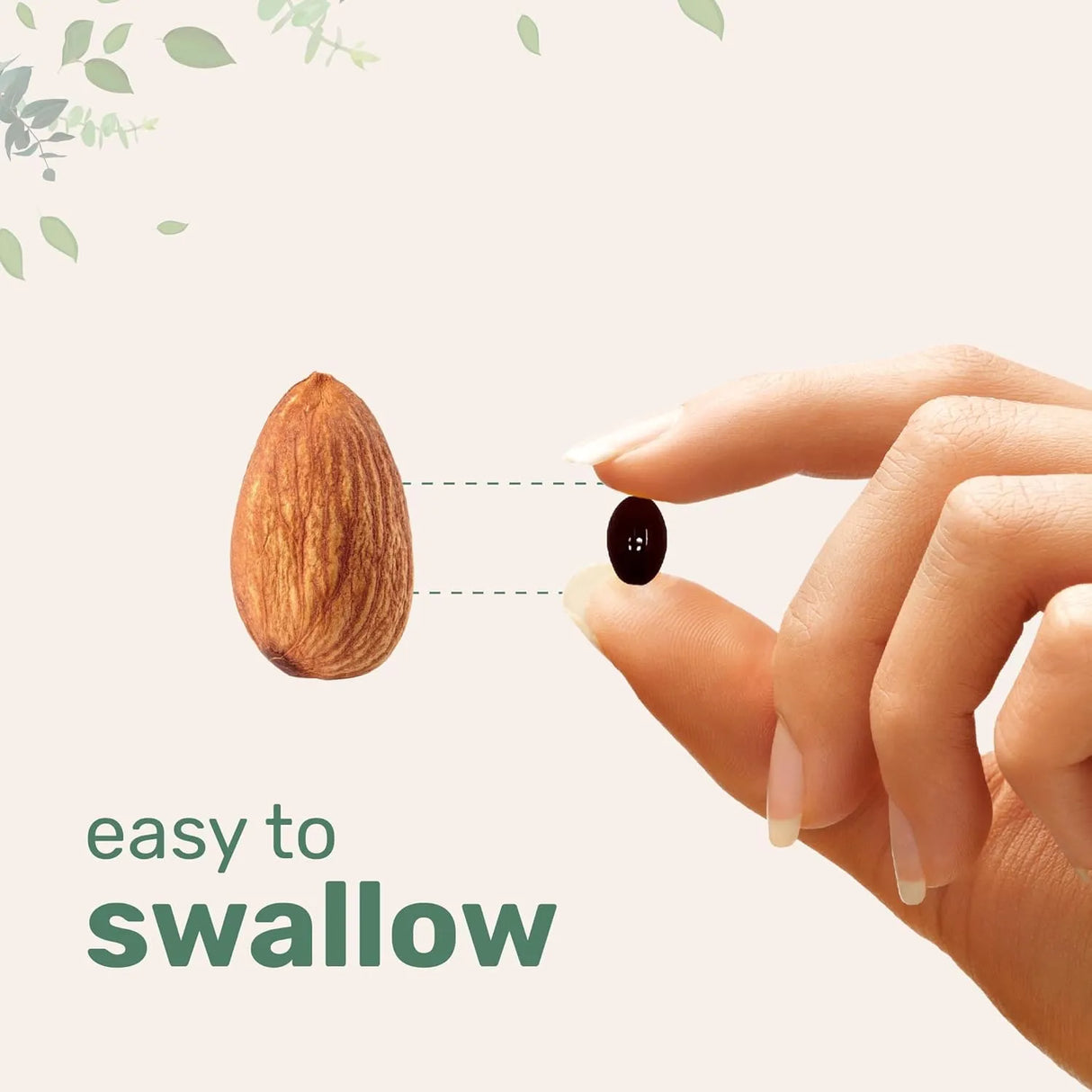 MICRO INGREDIENTS - Micro Ingredients Ashwagandha 6,000Mg. 300 Capsulas Blandas - The Red Vitamin MX - Suplementos Alimenticios - {{ shop.shopifyCountryName }}