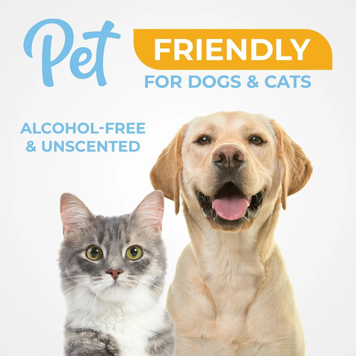 VETWIPE - VetWipe Dog Eye Wipes 100 Toallitas - The Red Vitamin MX - Cuidado De Los Ojos De Los Perros - {{ shop.shopifyCountryName }}