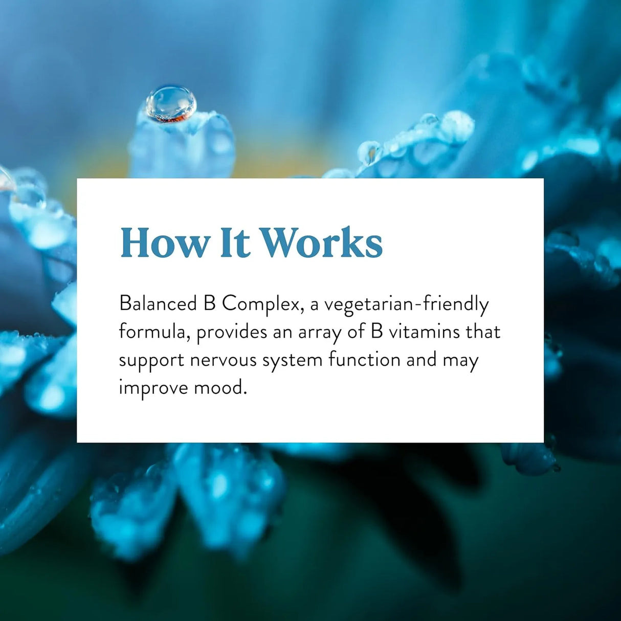 NATURES SUNSHINE - Nature's Sunshine Balanced B Complex 120 Tabletas - The Red Vitamin MX - Suplementos Alimenticios - {{ shop.shopifyCountryName }}