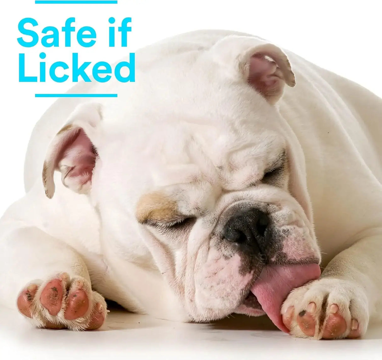 SKINSMART - SkinSmart Antimicrobial Wound Care for Pets 8 Fl.Oz. - The Red Vitamin MX - Remedios Para La Picazón De Perros - {{ shop.shopifyCountryName }}