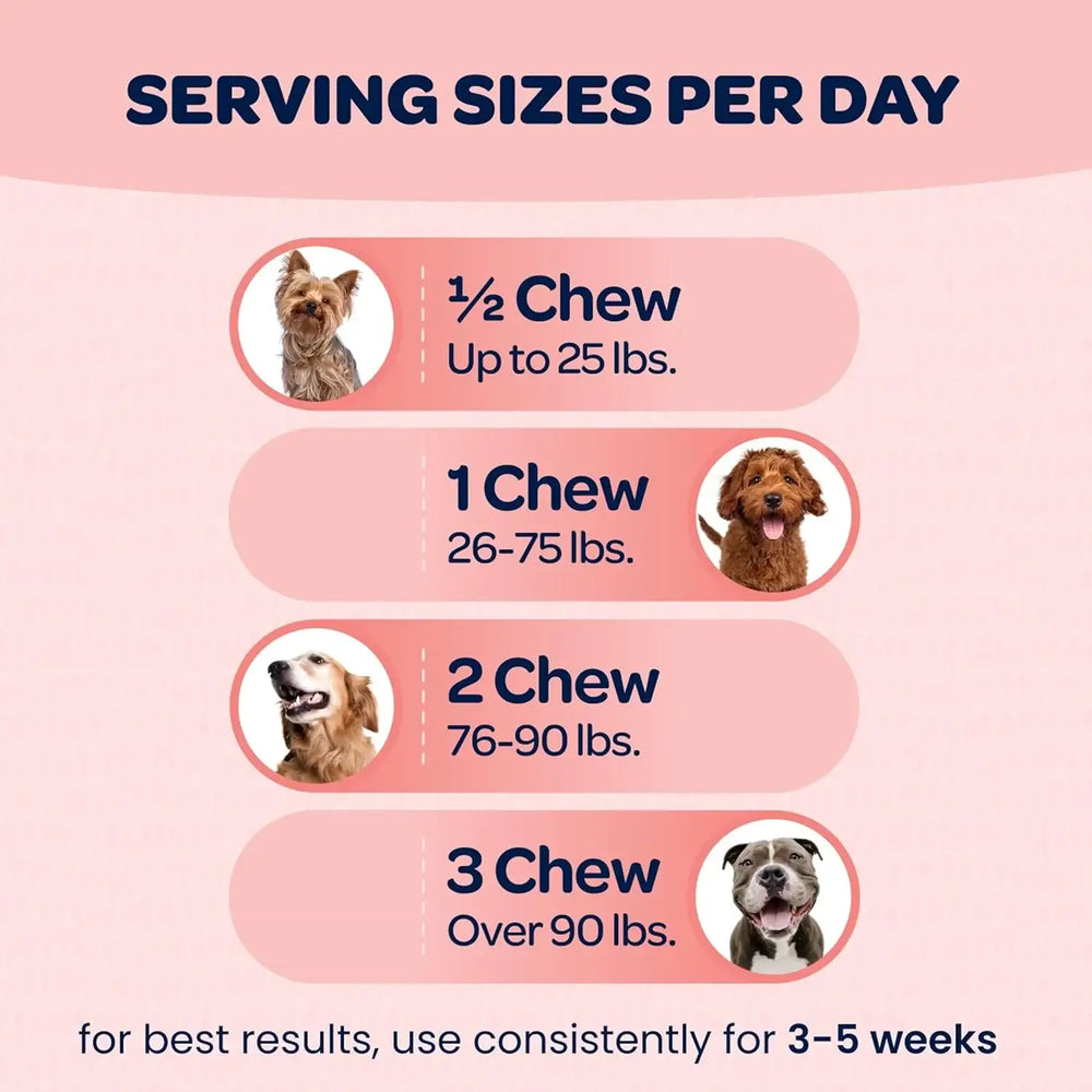 READY PET GO - Ready Pet Go! Hip and Joint Chews for Dogs 90 Masticables - The Red Vitamin MX - Cuidado De Cadera Y Articulaciones Para Perros - {{ shop.shopifyCountryName }}