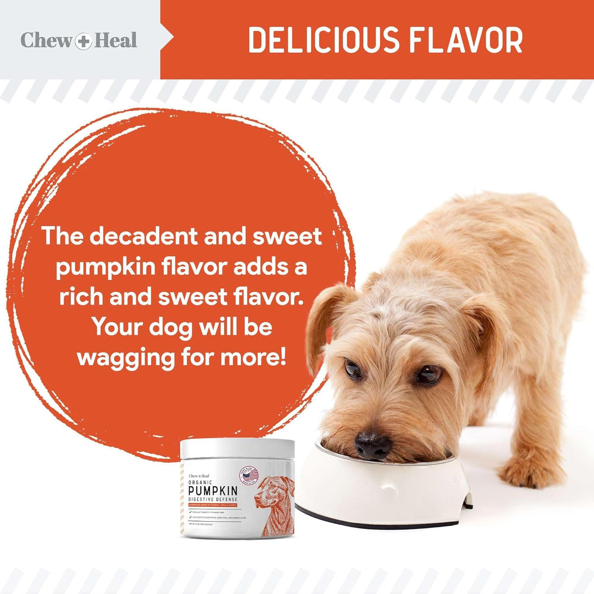Chew + Heal Labs Organic Pumpkin Powder for Dogs 4 Oz.