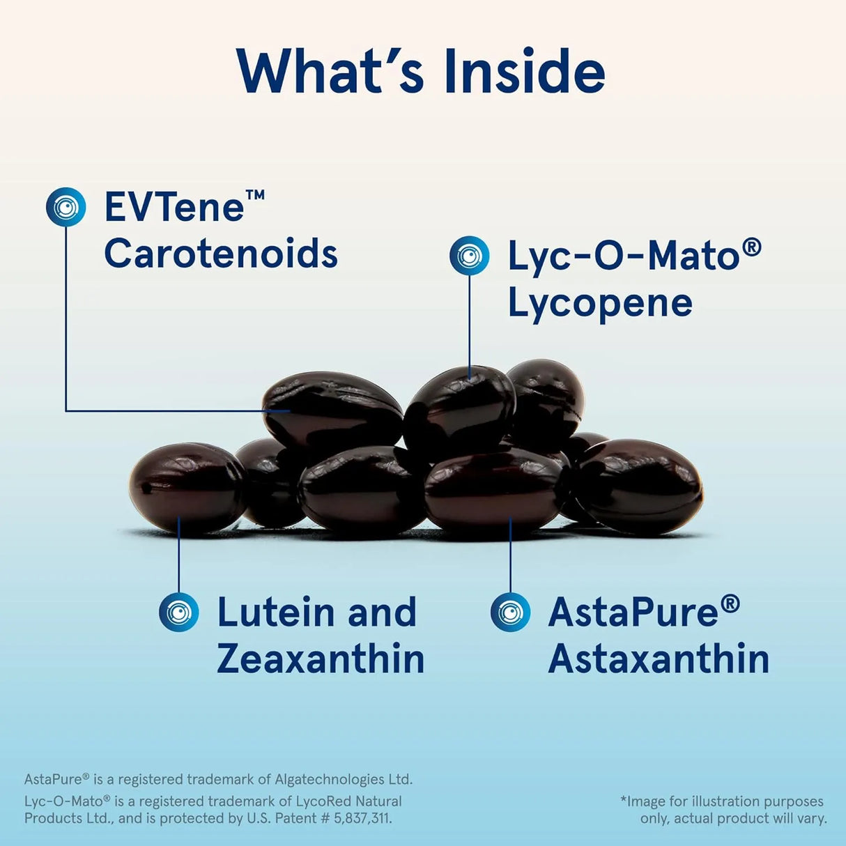 JARROW FORMULAS - Jarrow Formulas CarotenAll Vision and Cardiovascular Health 60 Capsulas Blandas - The Red Vitamin MX - Suplementos Alimenticios - {{ shop.shopifyCountryName }}