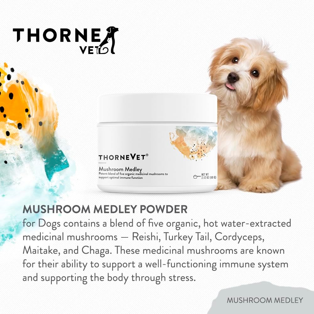 THORNE RESEARCH - ThorneVet Mushroom Medley for Dogs 120 Servicios 60Gr. - The Red Vitamin MX - Suplementos Herbales Para Perros - {{ shop.shopifyCountryName }}