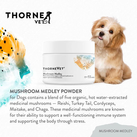 THORNE RESEARCH - ThorneVet Mushroom Medley for Dogs 120 Servicios 60Gr. - The Red Vitamin MX - Suplementos Herbales Para Perros - {{ shop.shopifyCountryName }}
