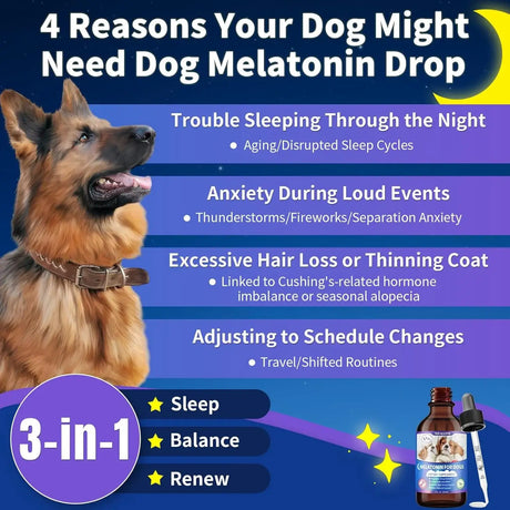 WEALLIN - WEALLIN Melatonin for Dogs with L-Theanine & Chamomile 60Ml. - The Red Vitamin MX - Relajantes Para Perros - {{ shop.shopifyCountryName }}