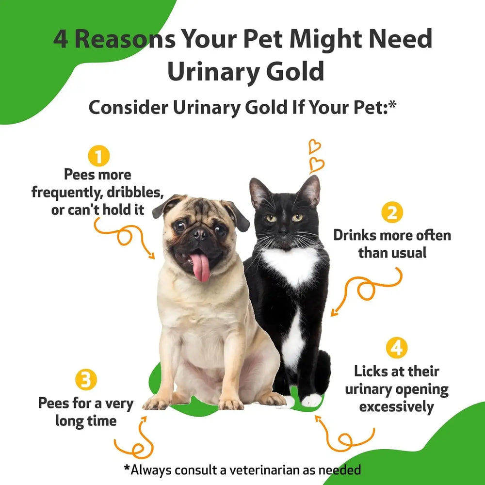 PET WELLBEING - Pet Wellbeing Urinary Gold for Dogs 4 Fl.Oz. - The Red Vitamin MX - Salud De Tracto Urinario Para Perros - {{ shop.shopifyCountryName }}