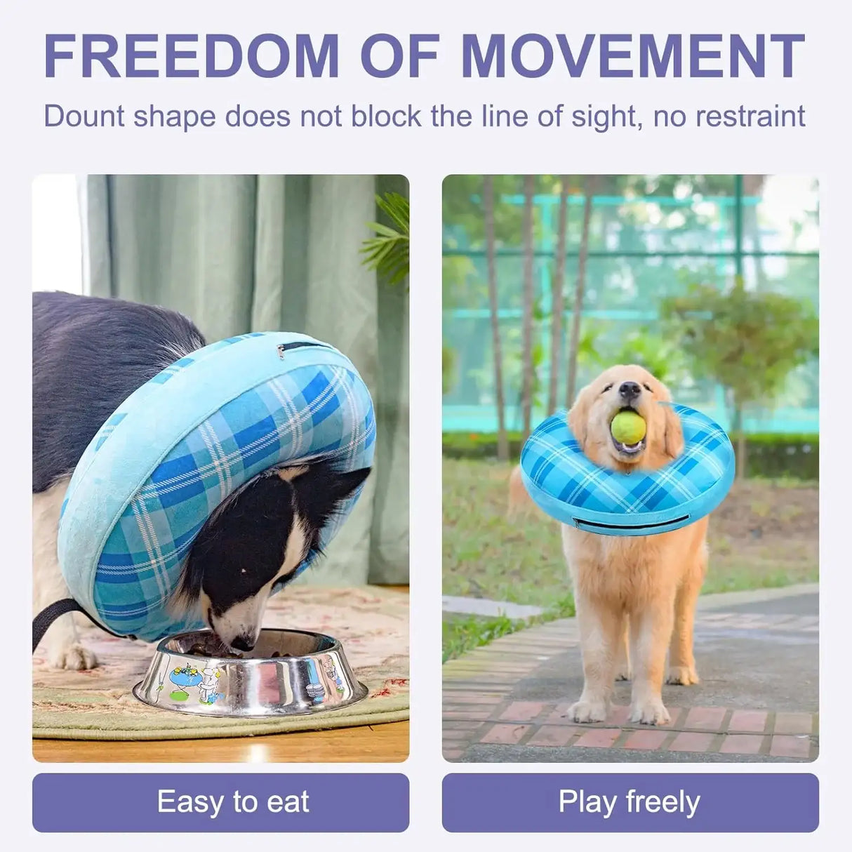 BEAUTYZOO - BEAUTYZOO Inflatable Donut Collar BLUE LARGE - The Red Vitamin MX - Collares y Conos De Recuperación Para Perros - {{ shop.shopifyCountryName }}