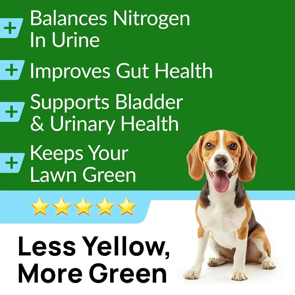 PAWFECTCHEW - PAWFECTCHEW Green Grass Dog Chews w/Probiotics 120 Masticables - The Red Vitamin MX - Salud De Tracto Urinario Para Perros - {{ shop.shopifyCountryName }}