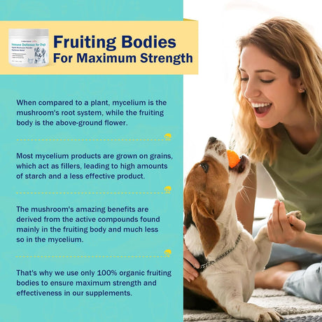 UNIPOMME - Unipomme Dogs Guard Defense Immune 120Gr. - The Red Vitamin MX - Suplementos Herbales Para Perros - {{ shop.shopifyCountryName }}