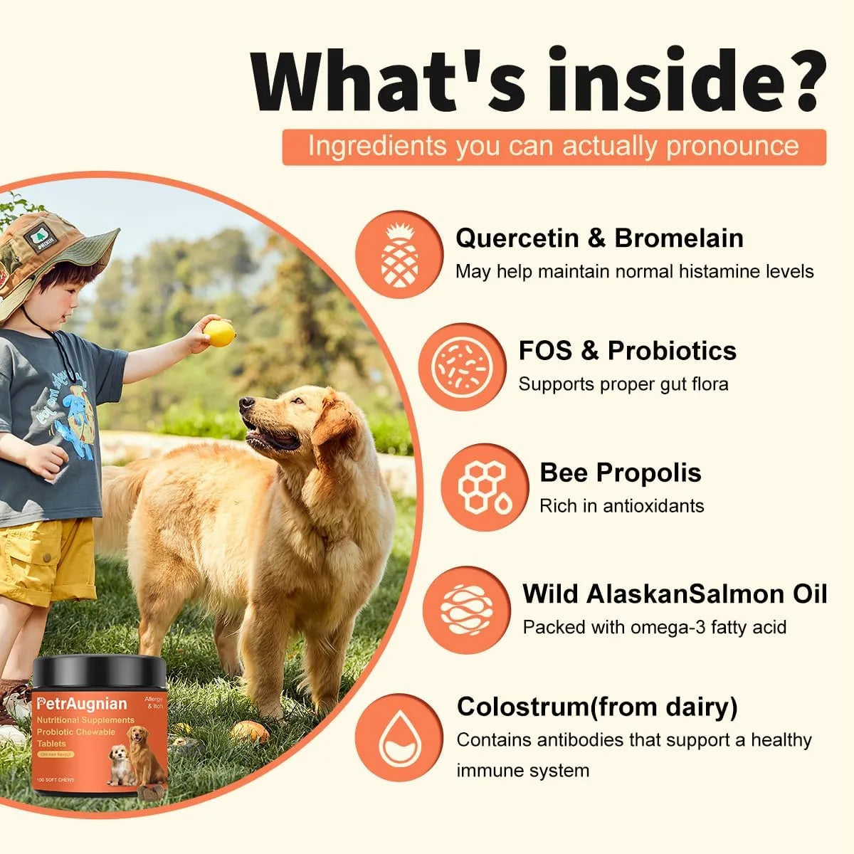 PETRAUGNIAN - PetrAugnian Allergy & Itch Relief for Dogs 100 Masticables - The Red Vitamin MX - Remedios Para La Picazón De Perros - {{ shop.shopifyCountryName }}