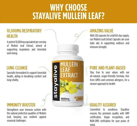 STAYALIVE - StayAlive Mullein Leaf 10,000Mg. 120 Capsulas - The Red Vitamin MX - Suplementos Alimenticios - {{ shop.shopifyCountryName }}