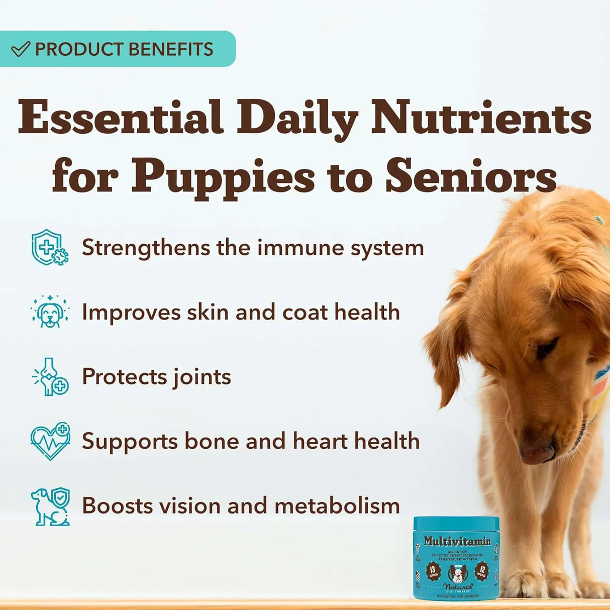 NATURAL DOG - Natural Dog Company Multivitamin Chews 180 Masticables - The Red Vitamin MX - Multivitamínicos Para Perros - {{ shop.shopifyCountryName }}