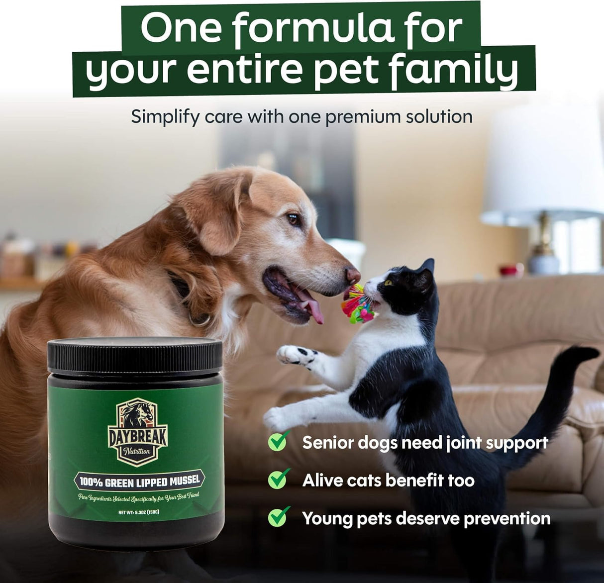 DAYBREAK NUTRITION - Daybreak Nutrition Pure Green Lipped Mussel Powder for Dogs and Cats 150Gr. - The Red Vitamin MX - Cuidado De Cadera Y Articulaciones Para Perros - {{ shop.shopifyCountryName }}