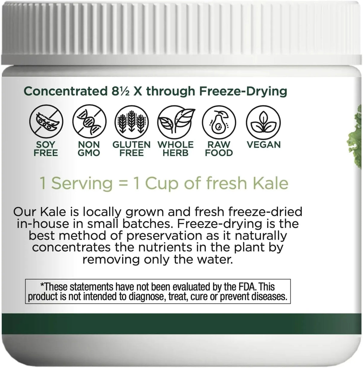 ECLECTIC HERB - Eclectic Herb Raw Fresh Freeze-Dried Kale Whole Food Powder 90Gr. - The Red Vitamin MX - Suplementos Alimenticios - {{ shop.shopifyCountryName }}
