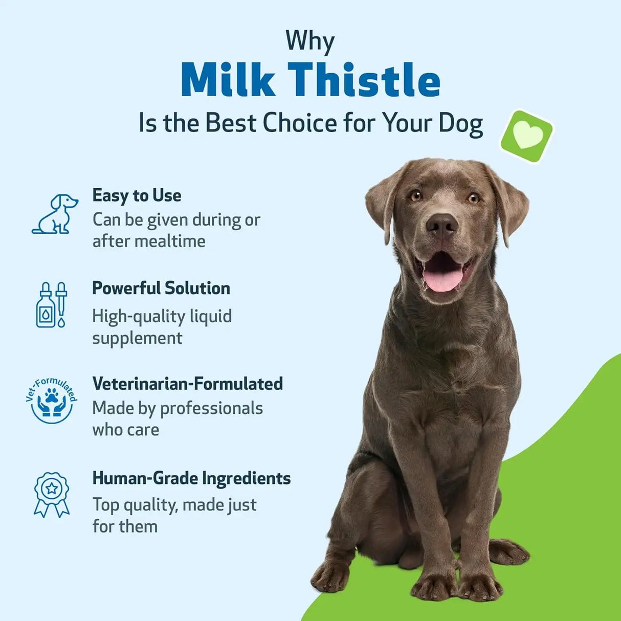 PET WELLBEING - Pet Wellbeing Milk Thistle for Dogs 4 Fl.Oz. - The Red Vitamin MX - Medicamentos Sin Receta Para Perros - {{ shop.shopifyCountryName }}