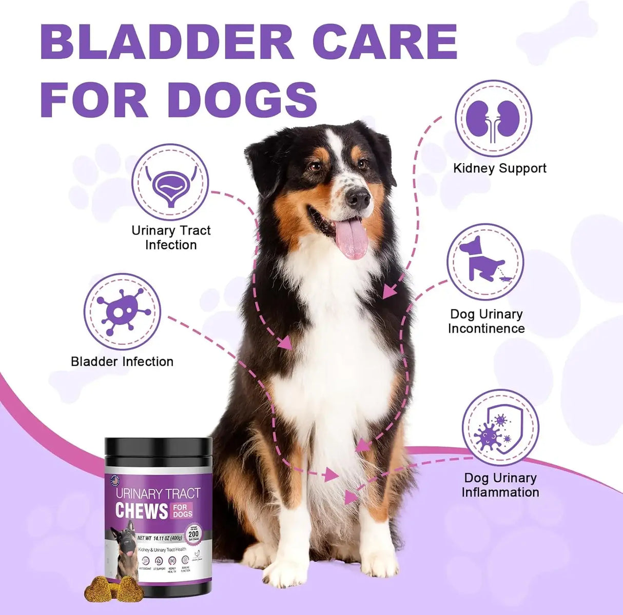 TTLXBL - TTLXBL Dog UTI Treatment Cranberry Supplement for Dogs 200 Masticables - The Red Vitamin MX - Salud De Tracto Urinario Para Perros - {{ shop.shopifyCountryName }}