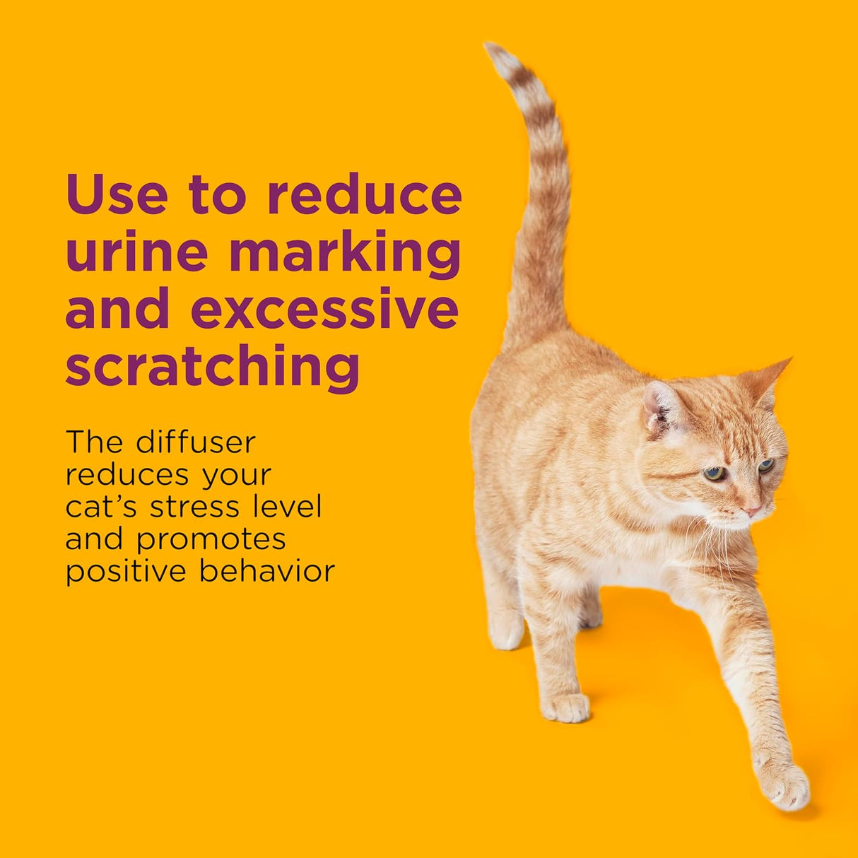 COMFORT ZONE MultiCat Diffuser Refills 6 Pack