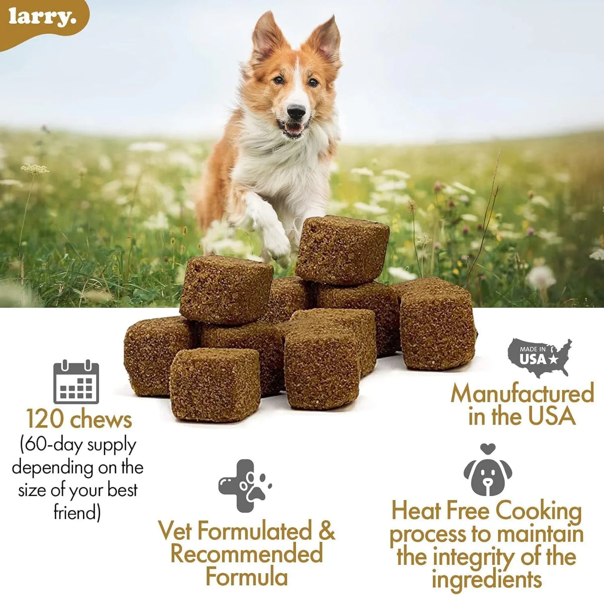 LARRY - Larry 8-in-1 Multivitamin Dog Supplement 60 Masticables - The Red Vitamin MX - Multivitamínicos Para Perros - {{ shop.shopifyCountryName }}