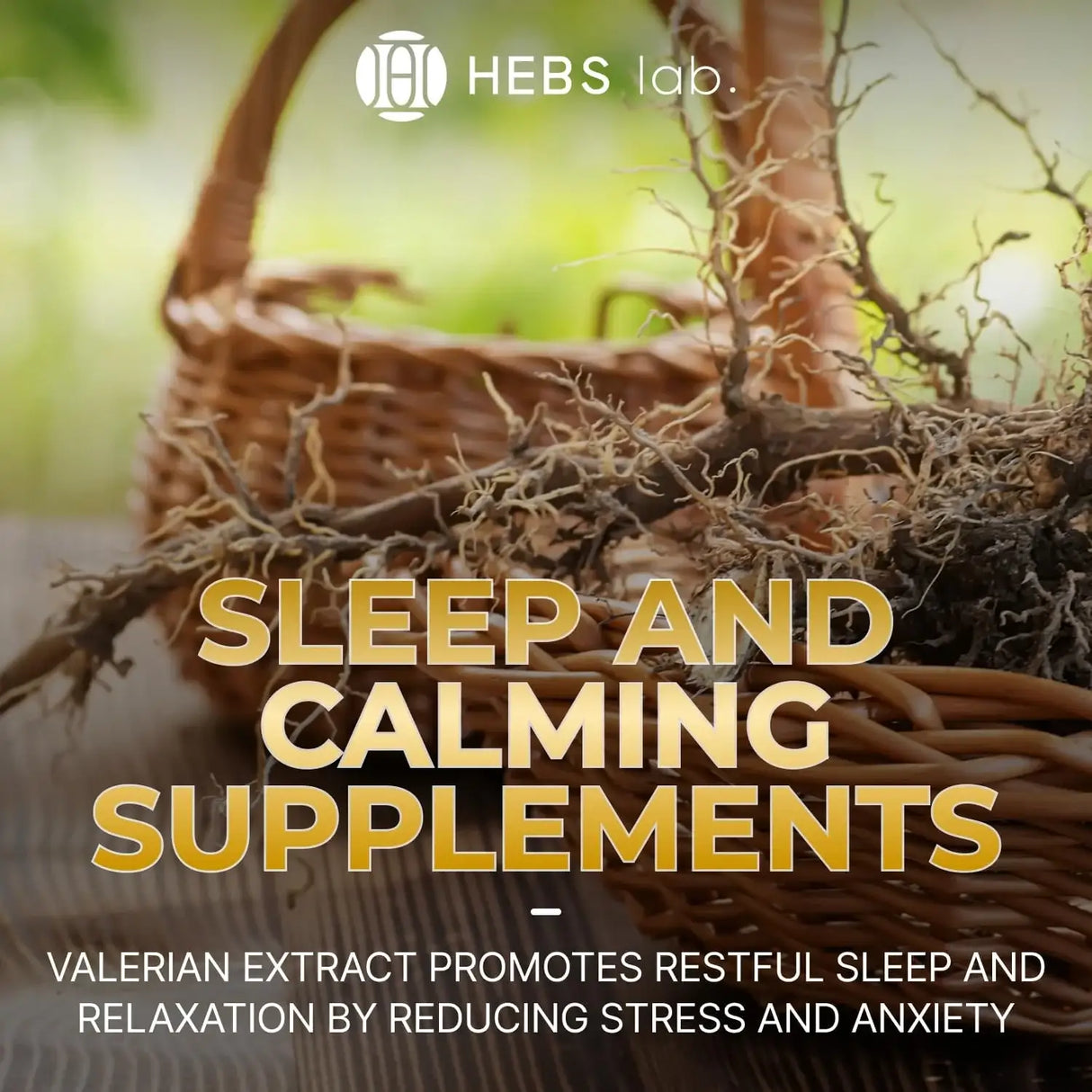 HEBS LAB - HEBS LAB. Valerian Root Extract 2 Fl.Oz. - The Red Vitamin MX - Suplementos Alimenticios - {{ shop.shopifyCountryName }}