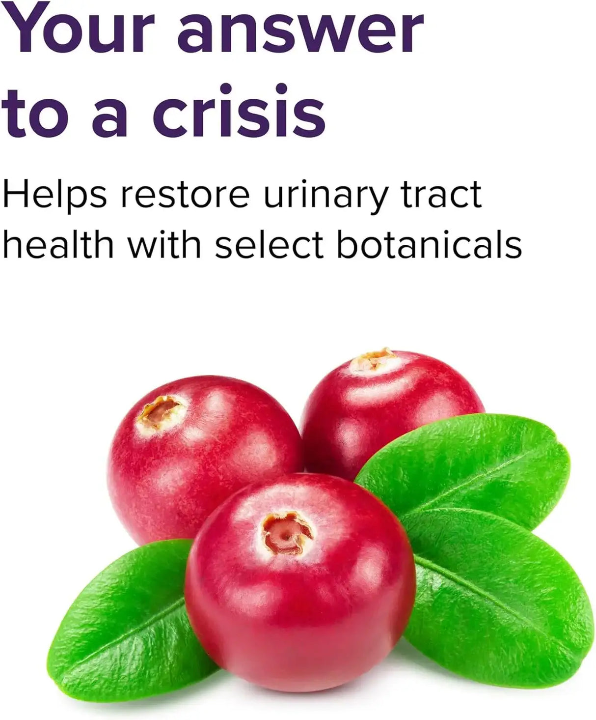 VIBRANT HEALTH - Vibrant Health U.T. Vibrance Powder 10 Servicios 58Gr. - The Red Vitamin MX - Suplementos Alimenticios - {{ shop.shopifyCountryName }}