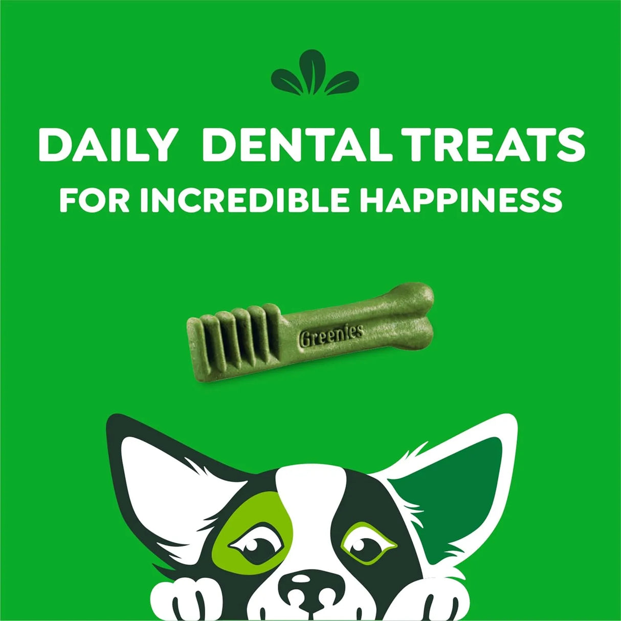 GREENIES - Greenies Original Petite Natural Dental Care Dog Treats 45 Piezas - The Red Vitamin MX - Cuidado Dental Para Perros - {{ shop.shopifyCountryName }}